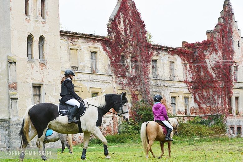 Hubertus 2017 w Gałowie