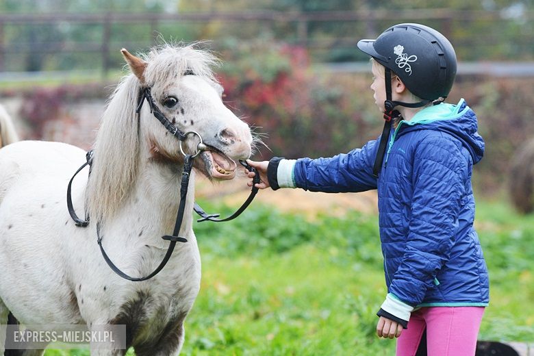 Hubertus 2017 w Gałowie