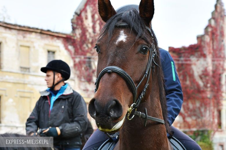 Hubertus 2017 w Gałowie