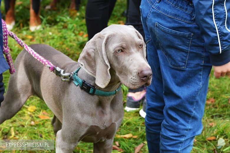 Hubertus 2017 w Gałowie
