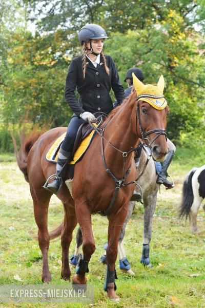 Hubertus 2017 w Gałowie