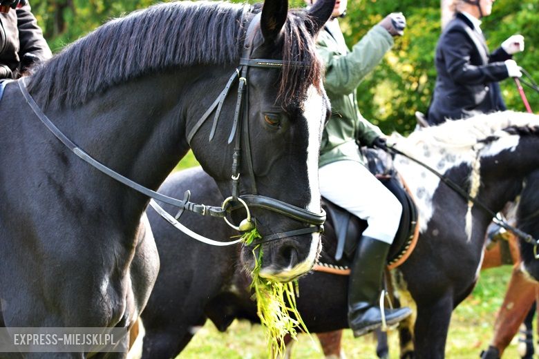 Hubertus 2017 w Gałowie