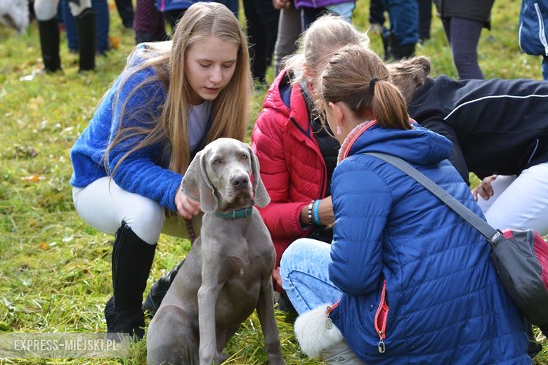 Hubertus 2017 w Gałowie