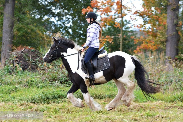 Hubertus 2017 w Gałowie