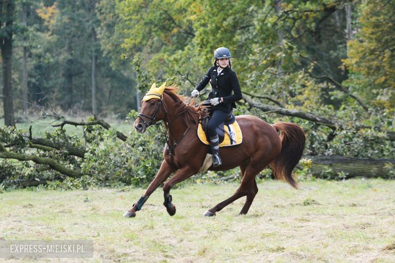 Hubertus 2017 w Gałowie