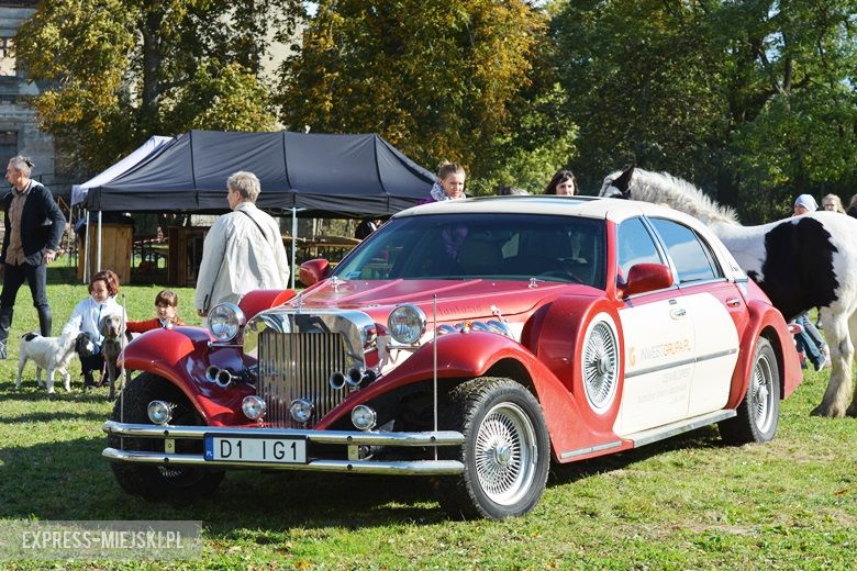 Hubertus 2017 w Gałowie