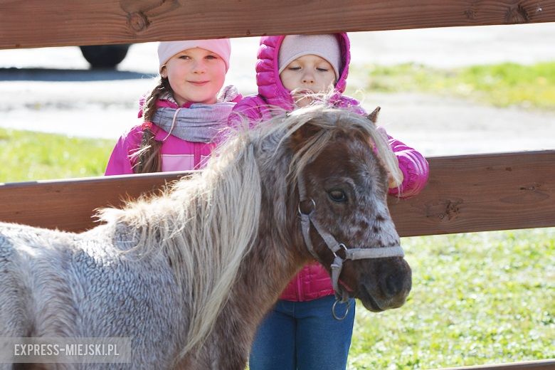 Hubertus 2017 w Gałowie
