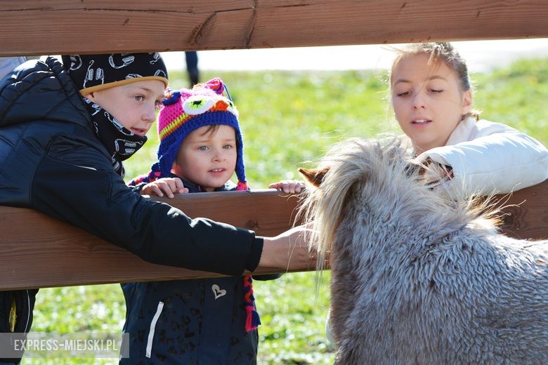 Hubertus 2017 w Gałowie