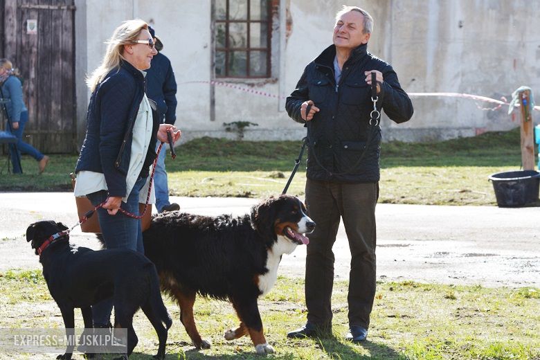 Hubertus 2017 w Gałowie