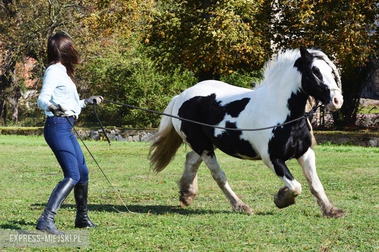 Hubertus 2017 w Gałowie