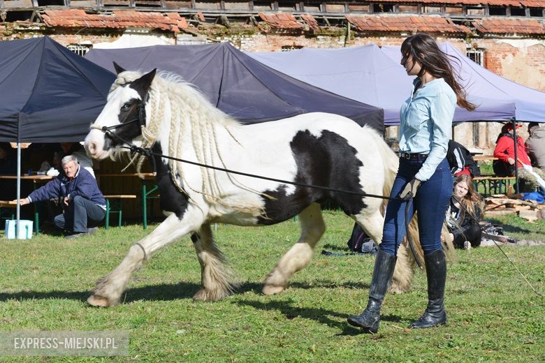 Hubertus 2017 w Gałowie