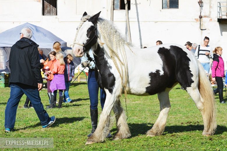 Hubertus 2017 w Gałowie