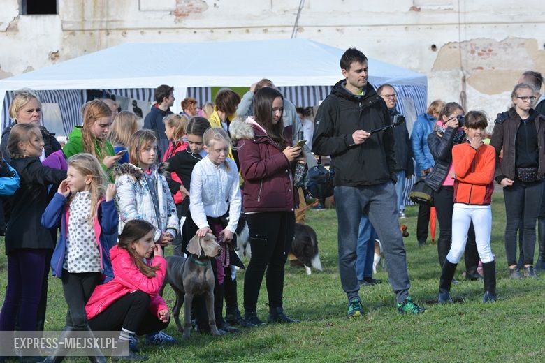 Hubertus 2017 w Gałowie