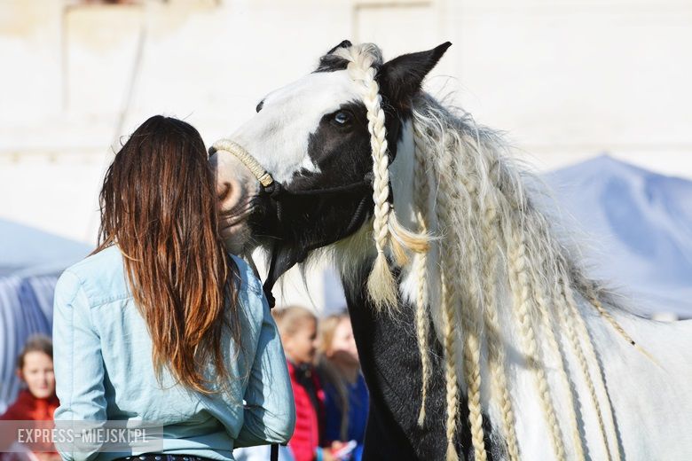 Hubertus 2017 w Gałowie