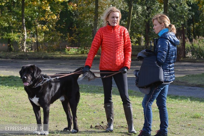 Hubertus 2017 w Gałowie