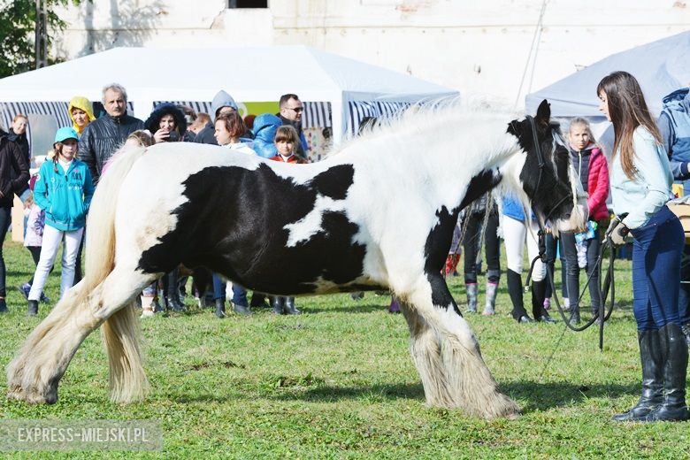 Hubertus 2017 w Gałowie