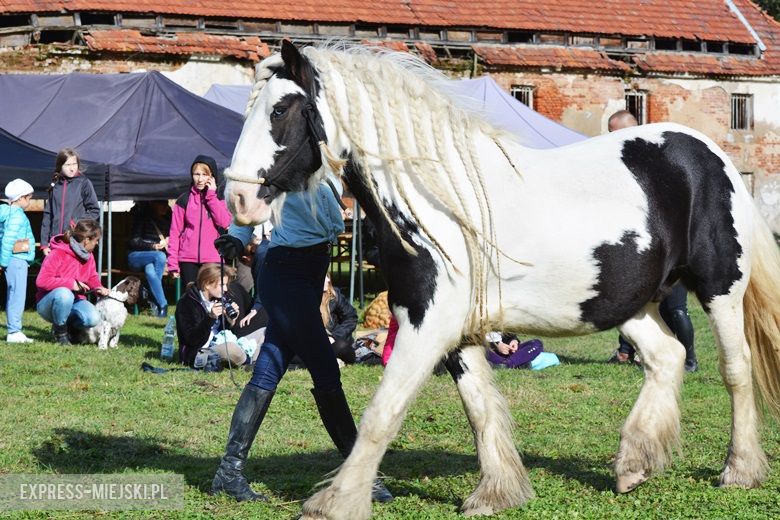 Hubertus 2017 w Gałowie