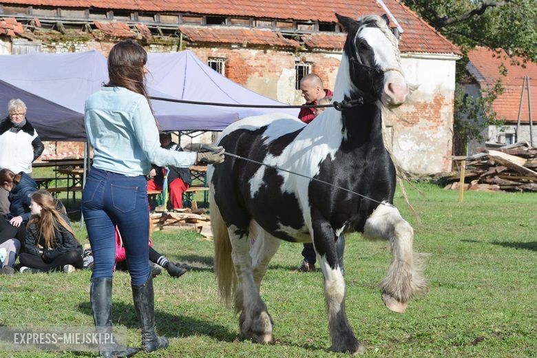 Hubertus 2017 w Gałowie