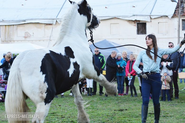 Hubertus 2017 w Gałowie