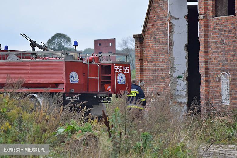 Interwencja strażaków na terenie dawnej cukrowni