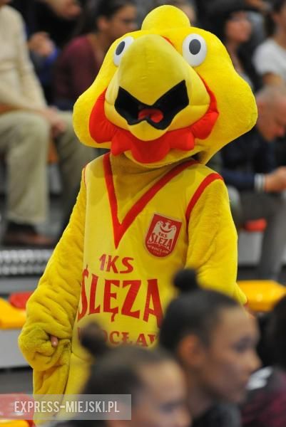 Basket Lidga Kobiet: Ślęza Wrocław - Energa Toruń