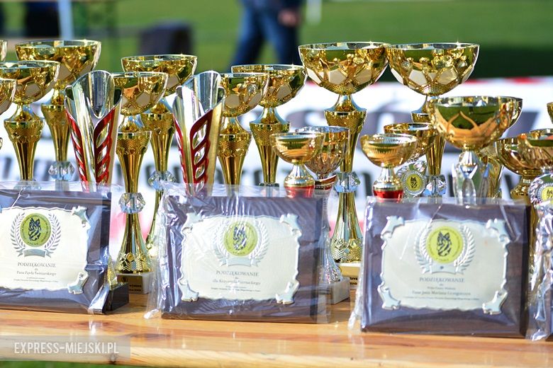 Wystawa rasowych psów w Miękini