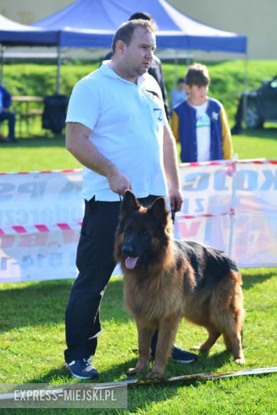 Wystawa rasowych psów w Miękini