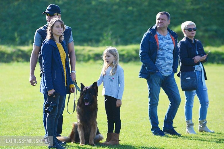 Wystawa rasowych psów w Miękini