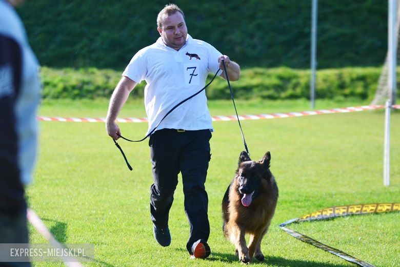 Wystawa rasowych psów w Miękini