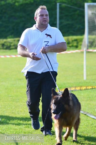 Wystawa rasowych psów w Miękini