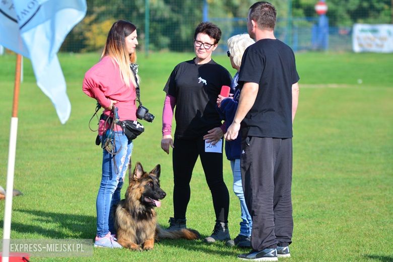 Wystawa rasowych psów w Miękini