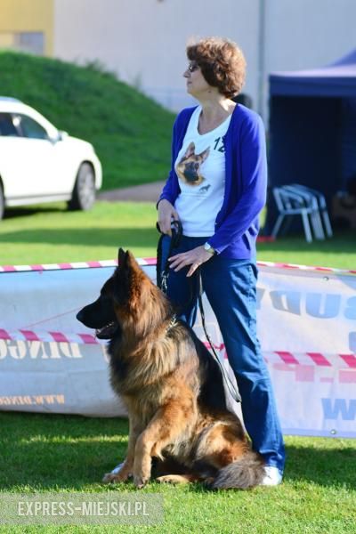 Wystawa rasowych psów w Miękini