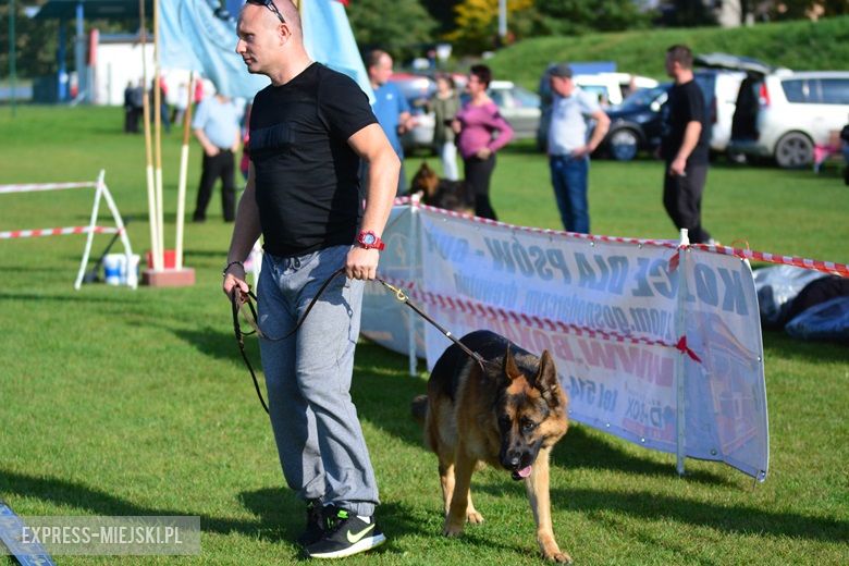 Wystawa rasowych psów w Miękini