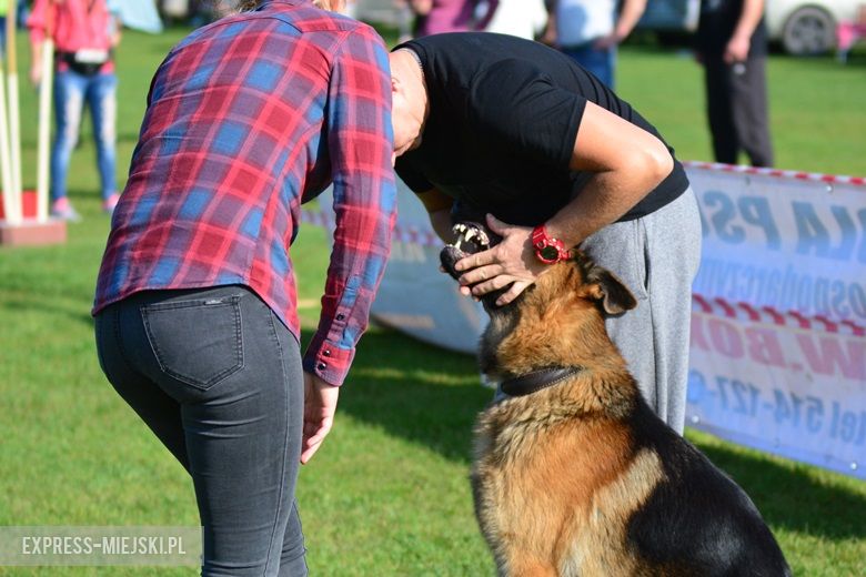 Wystawa rasowych psów w Miękini