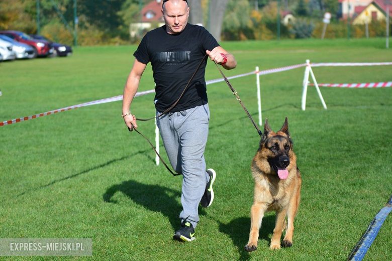 Wystawa rasowych psów w Miękini