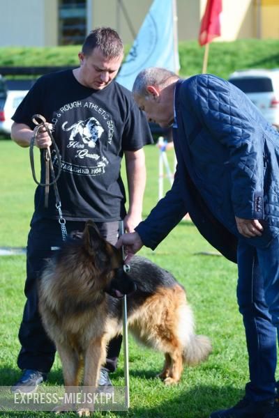 Wystawa rasowych psów w Miękini