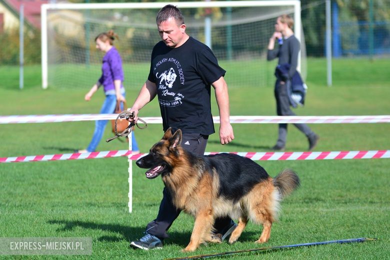 Wystawa rasowych psów w Miękini