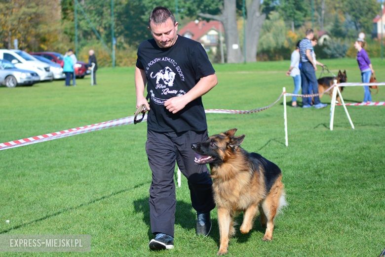 Wystawa rasowych psów w Miękini