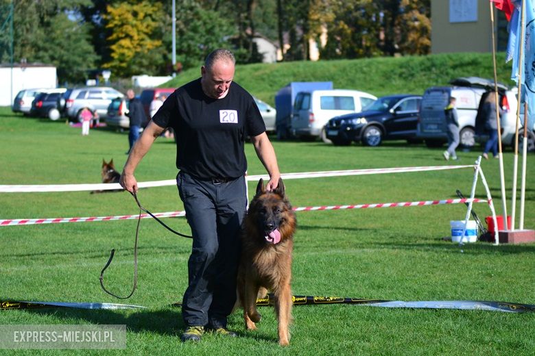 Wystawa rasowych psów w Miękini