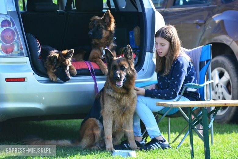 Wystawa rasowych psów w Miękini