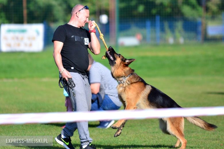 Wystawa rasowych psów w Miękini