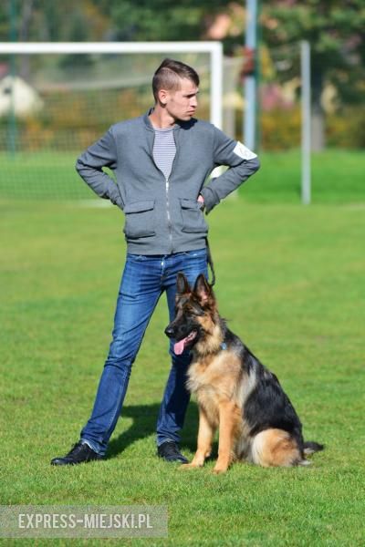 Wystawa rasowych psów w Miękini