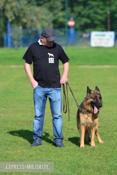 Wystawa rasowych psów w Miękini