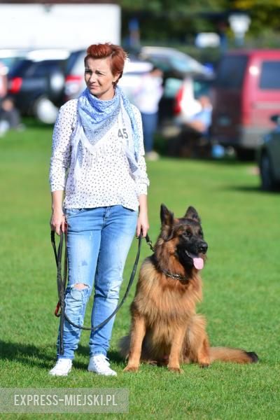 Wystawa rasowych psów w Miękini