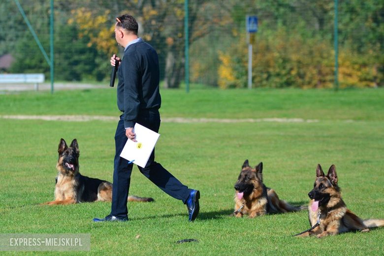 Wystawa rasowych psów w Miękini