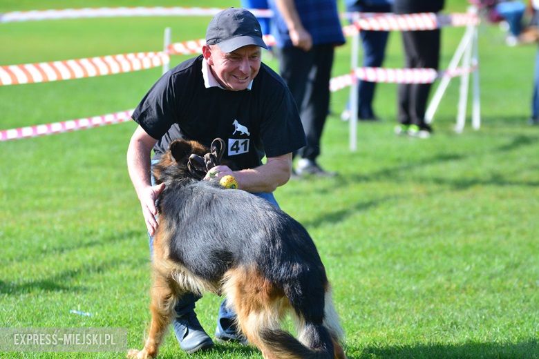 Wystawa rasowych psów w Miękini