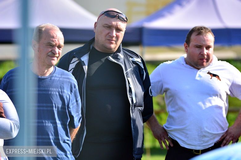 Wystawa rasowych psów w Miękini