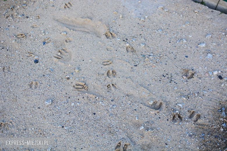 Plac budowy osiedla socjalnego w Środzie Śląskiej