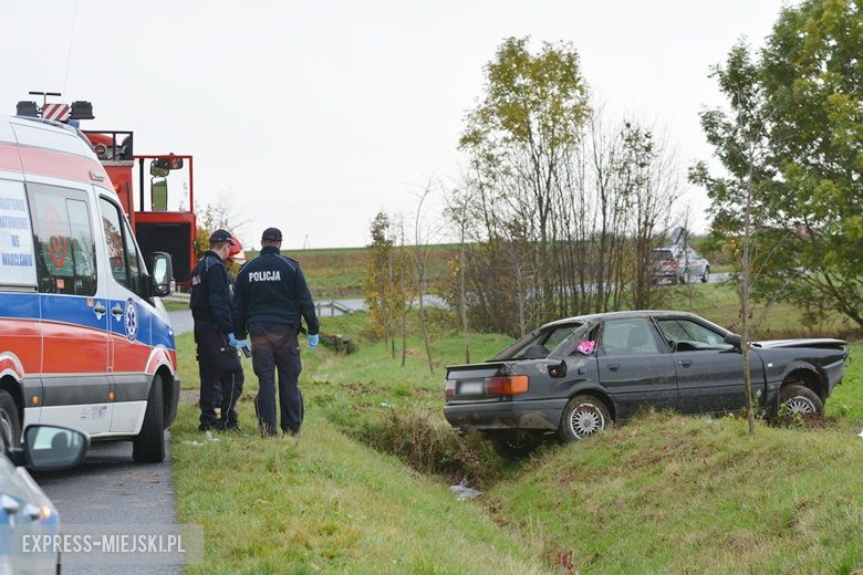 Auto wypadło z drogi między Casarzowicami a Piersnem
