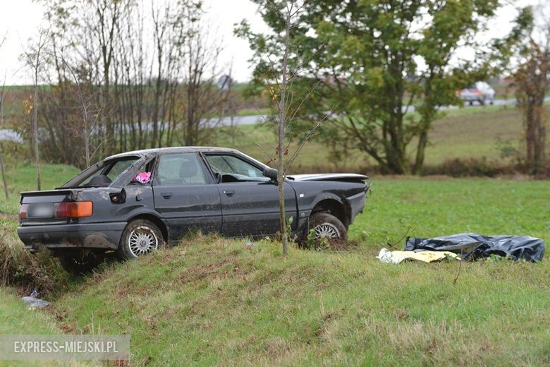 Auto wypadło z drogi między Casarzowicami a Piersnem